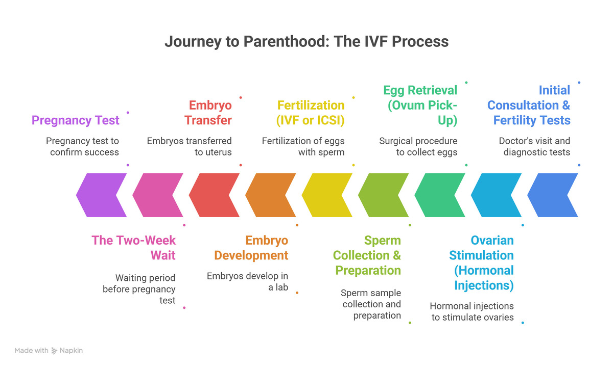 Step-by-Step IVF Treatment Process